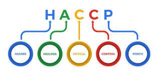 Formazione per conseguimento attestato HACCP